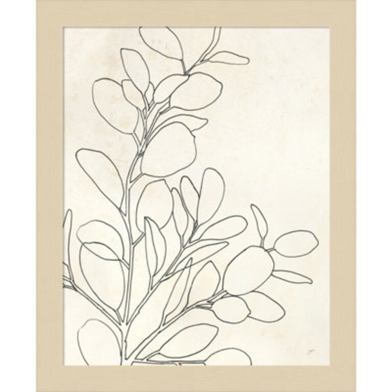 Eucalyptus Plant I by Karyn Panganiban - Picture Frame Drawing Print Frame Color: Brown, Size: 13" H x 11" W