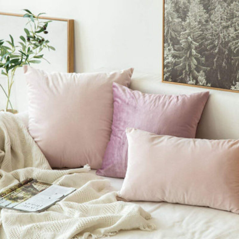 Solid Velvet Pillow Cover Color: Baby Pink, Size: 12"H x 20"W