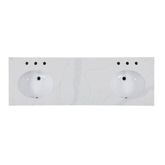 Alsup 66 Double Bathroom Vanity with Top