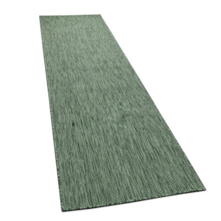 Iyana Flatweave Green Indoor  Outdoor Area Rug