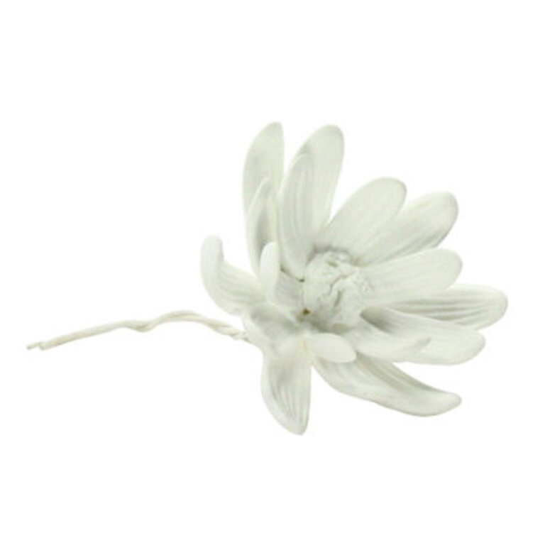 Escoto Plants  Flowers Figurines  Sculptures