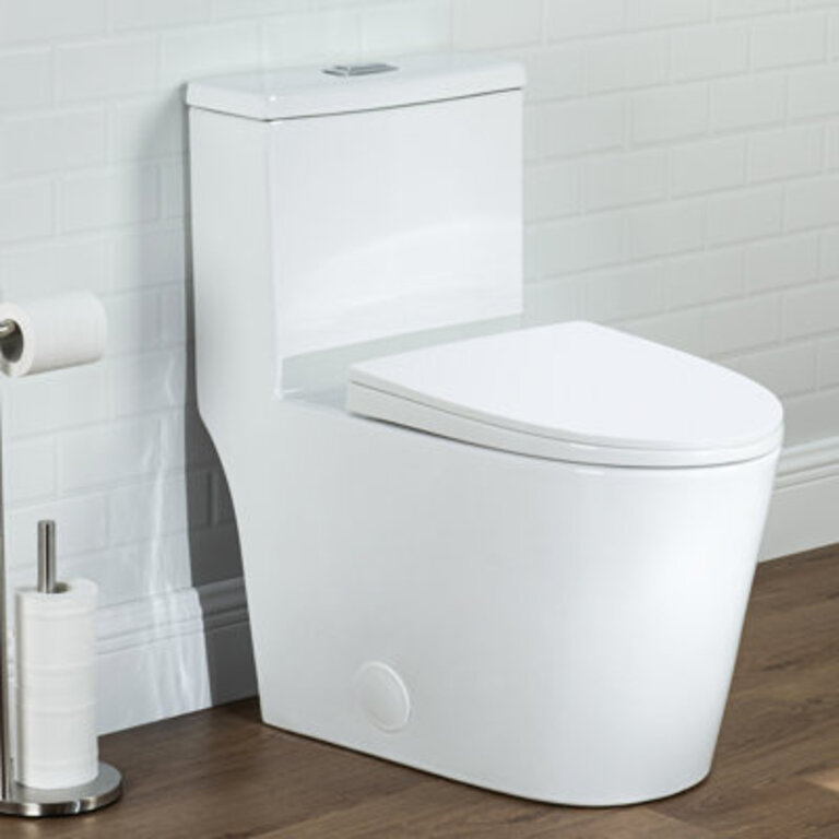 17 Comfort Height Standard  Toilet Dual-Flush Modern Elongated One-Piece Toilet with Glazed Surface Seat lncluded