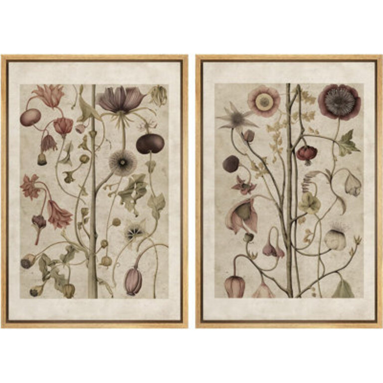 Abstract Botanical Classic Floral Plant Artwork Vintage Neutral Kitchen Wall Pictures Framed Canvas Giclee Print 2 Pieces Wall Art