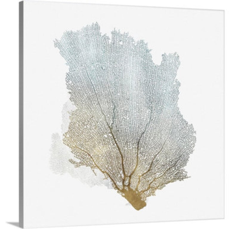 Delicate Coral I  by Isabelle Z