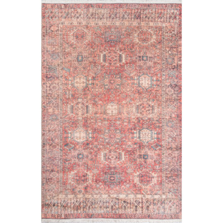 Conroy Oriental Indoor Rug
