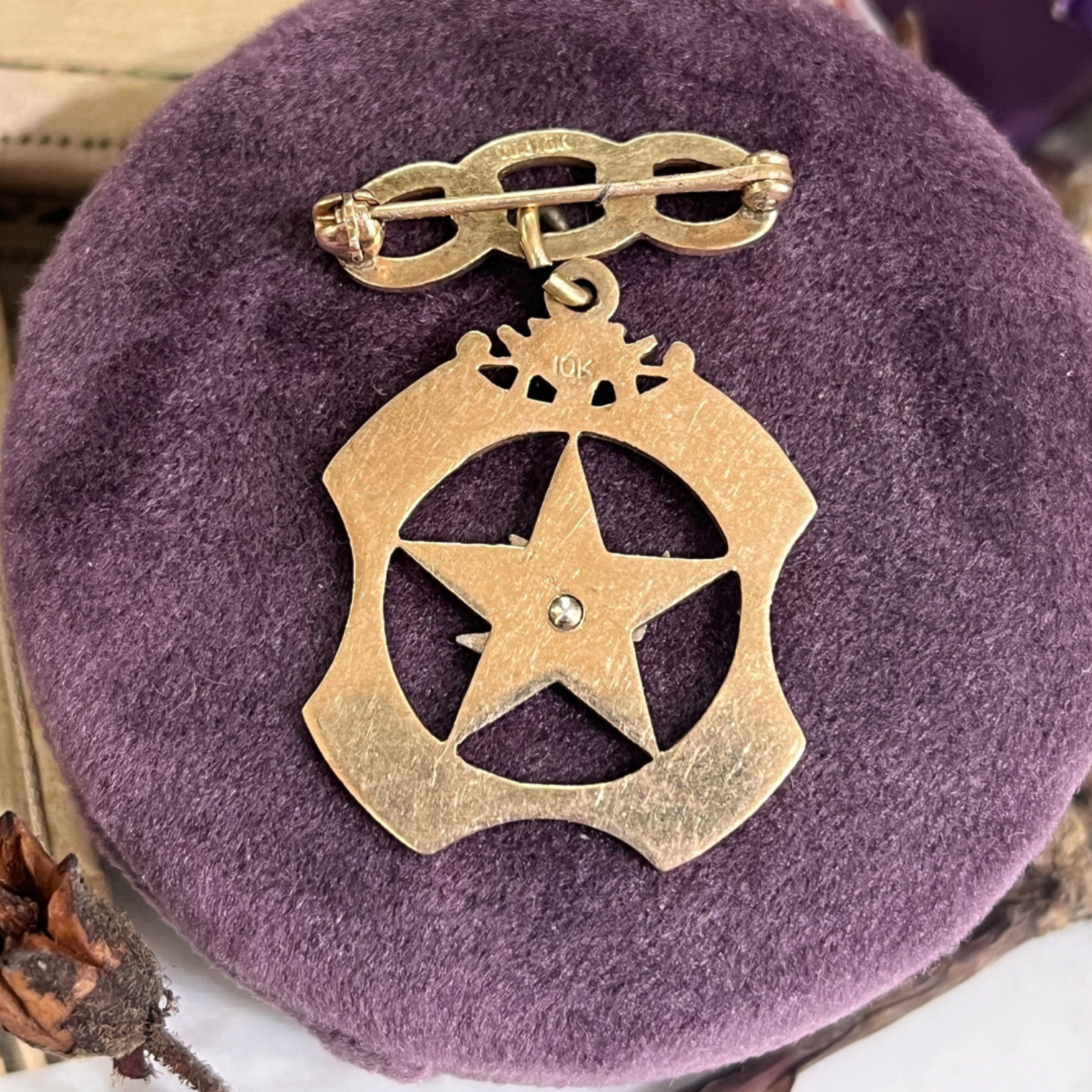 SJ Custom Jewelers 10k Rose Gold Vintage "Peace Dove" Star Brooch "Daughters of Rebekah"