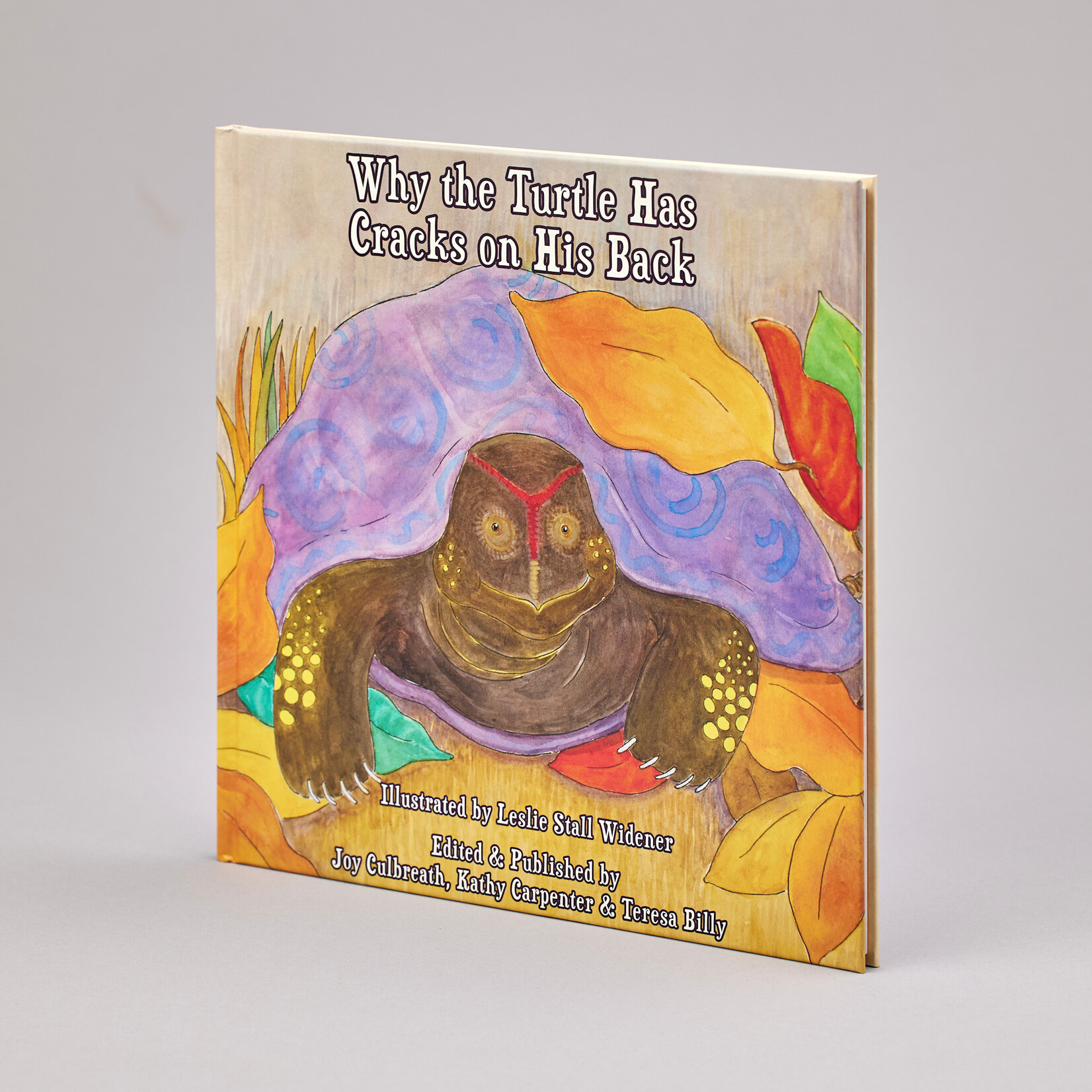 Why the Turtle Has Cracks on His Back - Book