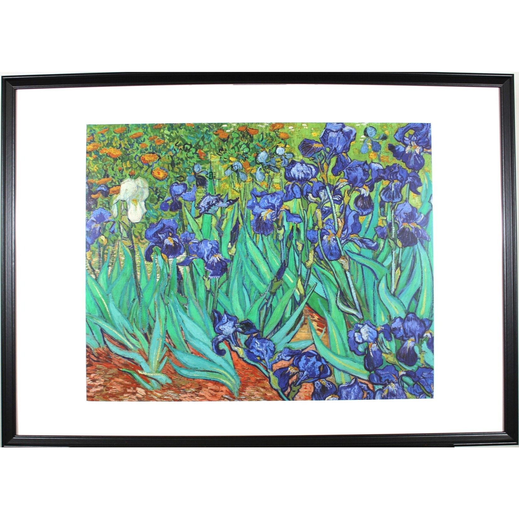 Printing Irises By Vincent Van Gogh