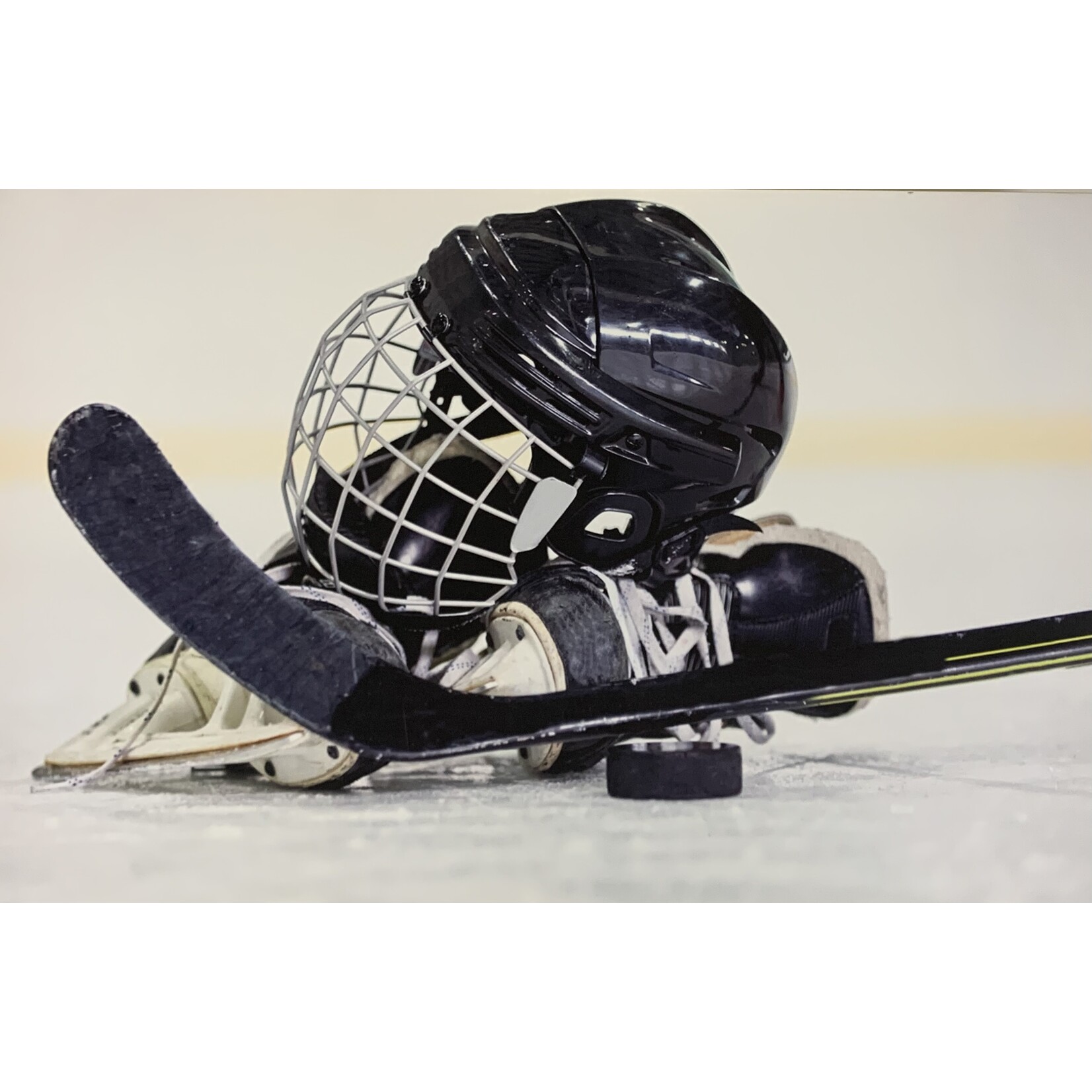 Printing Modern Stick On Ice Hockey 2