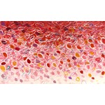 Painting Pink-ish Moment