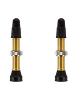 wtb VALVE TUBELESS WTB PV 34mm BRASS TCS pair