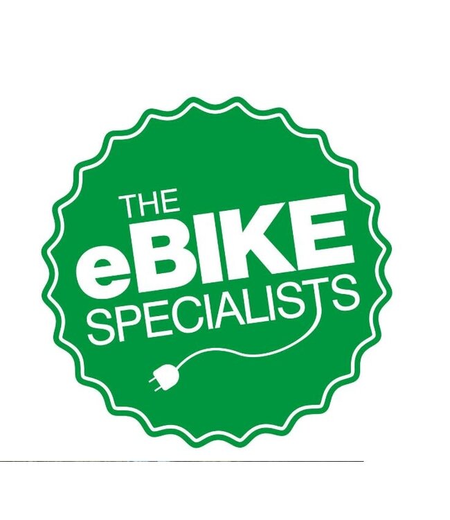ELECTRIC BIKE SOFTWARE UPDATING AND DIANOSTICS FROM $45
