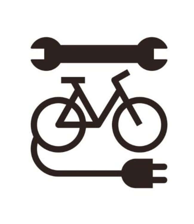 SMART E BIKE SERVICE ( 1 HOUR PLUS UPDATES )