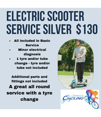 ELECTRIC SCOOTER SILVER SERVICE