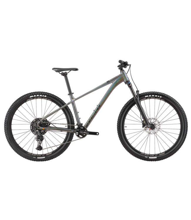SILVERBACK 25 SE SERIES 10 29 INCH MEDIUM RAINBOW PEARL
