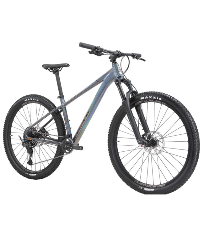 SILVERBACK 25 SE SERIES 10 29 INCH MEDIUM RAINBOW PEARL