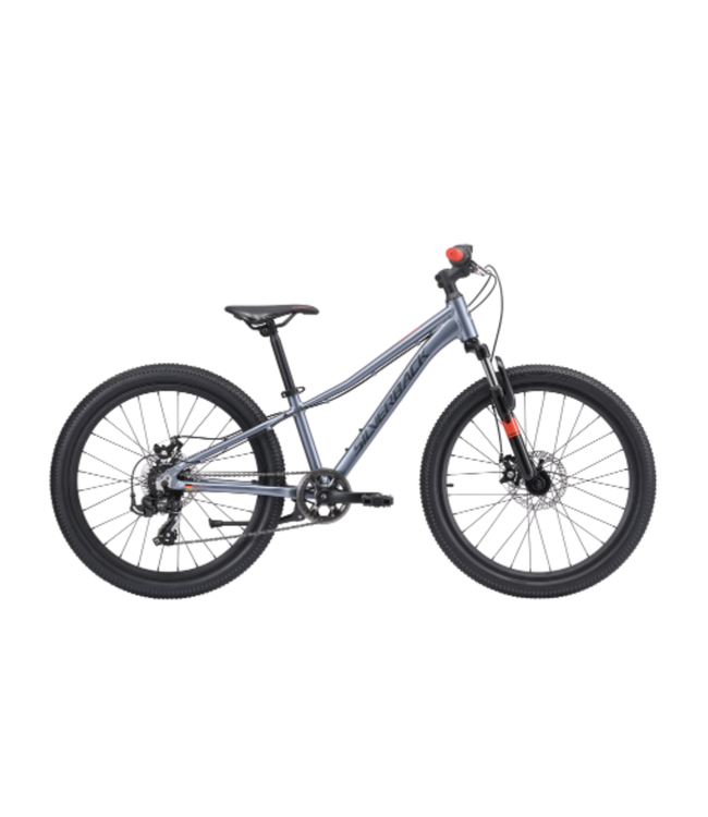 SILVERBACK 25 SPYKE 24 D BOY XENON GREY