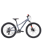 SILVERBACK 25 SPYKE 24 D BOY XENON GREY