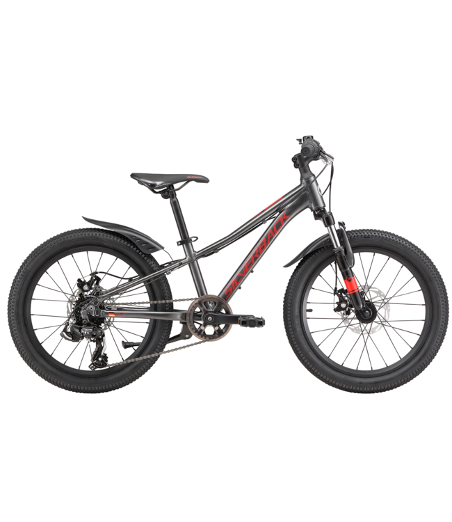 SILVERBACK 25 SPYKE 20 INCH DISC BRAKE BOY'S BIKE BLACK