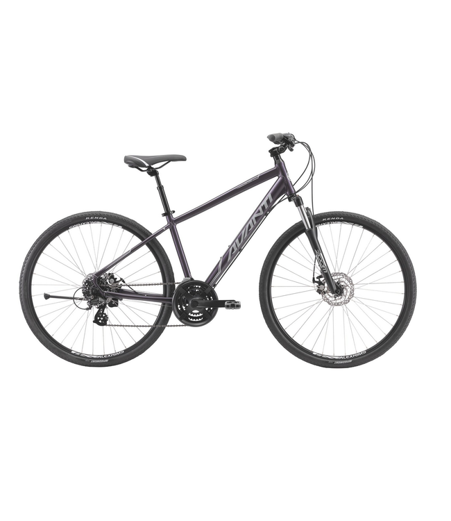 AVANTI DISCOVERY MS 1 BLACK MEDIUM