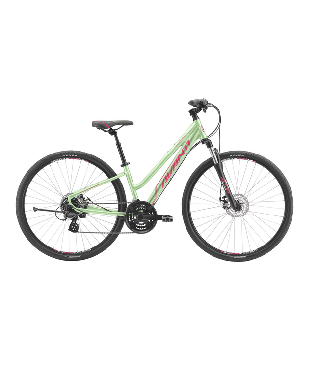 AVANTI DISCOVERY MS 1 LOW GREEN LARGE