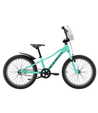 SILVERBACK 25 SKID TEAL 20 INCH GIRLS BIKE