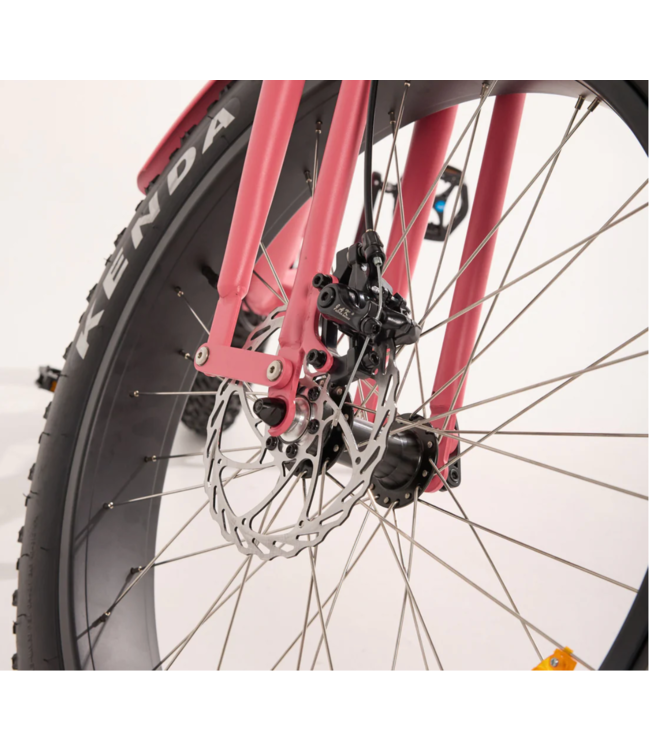 BIG KAHUNAZ BIG KAHUNAZ MERMAID CRUIZER ( PINK)