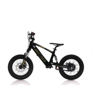CASSONS AZONIC FLOW 16 INCH 24VOLT 5AH 350W ELECTRIC BALANCE BIKE