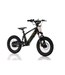 CASSONS AZONIC FLOW 16 INCH 24VOLT 5AH 350W ELECTRIC BALANCE BIKE