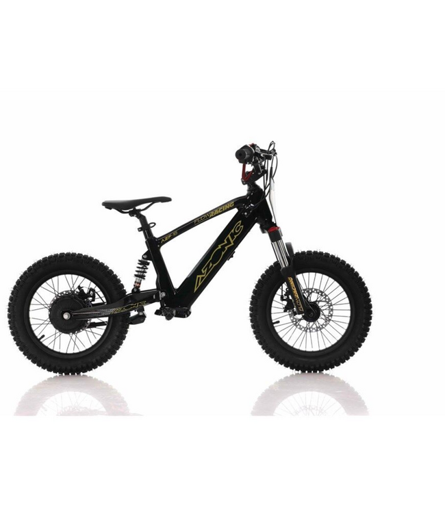 CASSONS AZONIC FLOW 16 INCH 24VOLT 5AH 350W ELECTRIC BALANCE BIKE