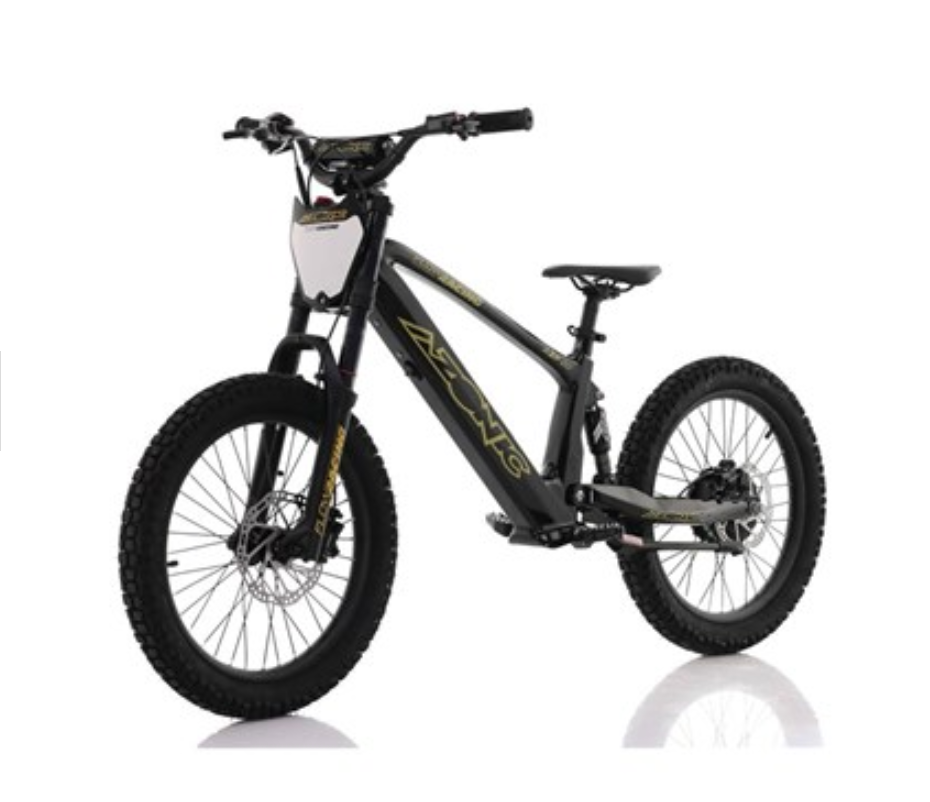 AZONIC FLOW 20 INCH ELECTRIC BALANCE BIKE - 36V/7.2AH/ 750W - Adrenalin ...