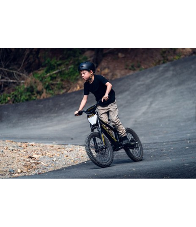 CASSONS AZONIC FLOW 20 INCH ELECTRIC BALANCE BIKE - 36V/7.2AH/ 750W