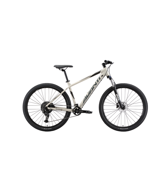 AVANTI MONTARI 1 WARM GREY XL