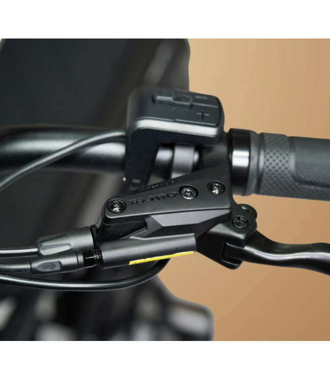 CRUZR CRUZR GROM EPAC ( 250W ) BRONZE