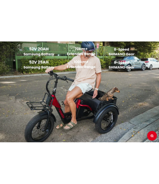 VAMOS VAMOS PAPA GRANDE PRO 2026 52V 20AH GREY ELECTRIC TRIKE