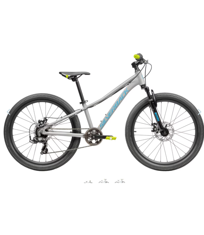 SILVERBACK SPYKE  24D - BATTLESHIP GREY
