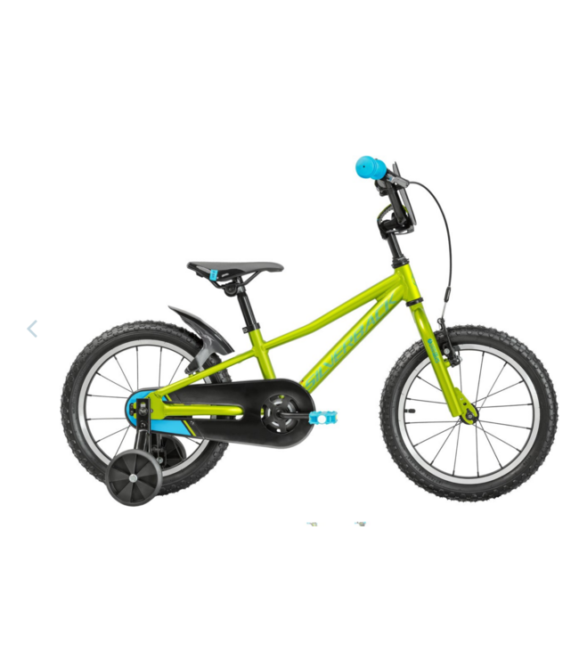 SILVERBACK SKID 16INCH LEMONADE LIME