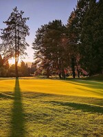 Multi Play Winter Card - 5 Rounds