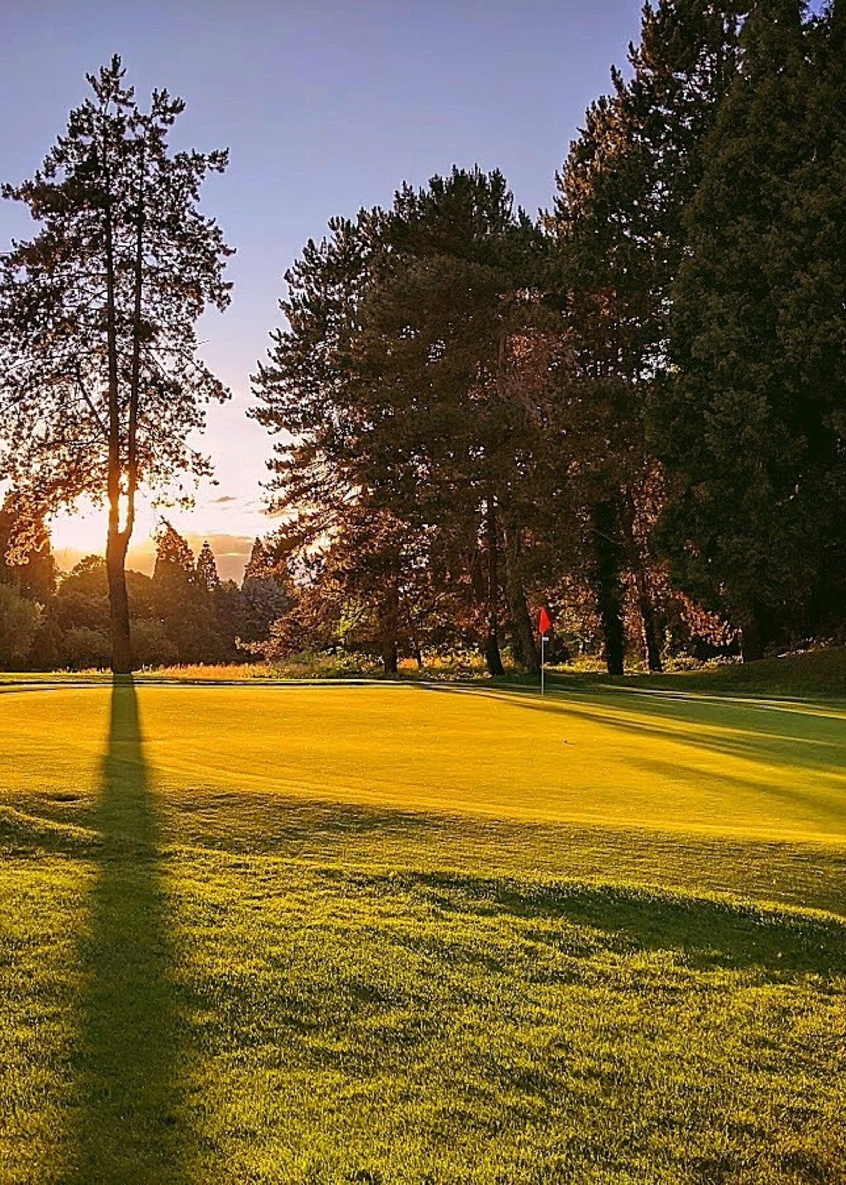 Multi Play Winter Card - 5 Rounds