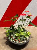 Workshop Holiday Planters - Nov 22nd