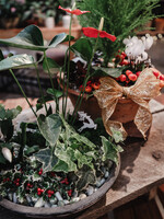 Workshop: Houseplant Centerpiece  - Dec 16th