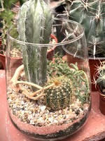 Workshop: PLACEHOLDER