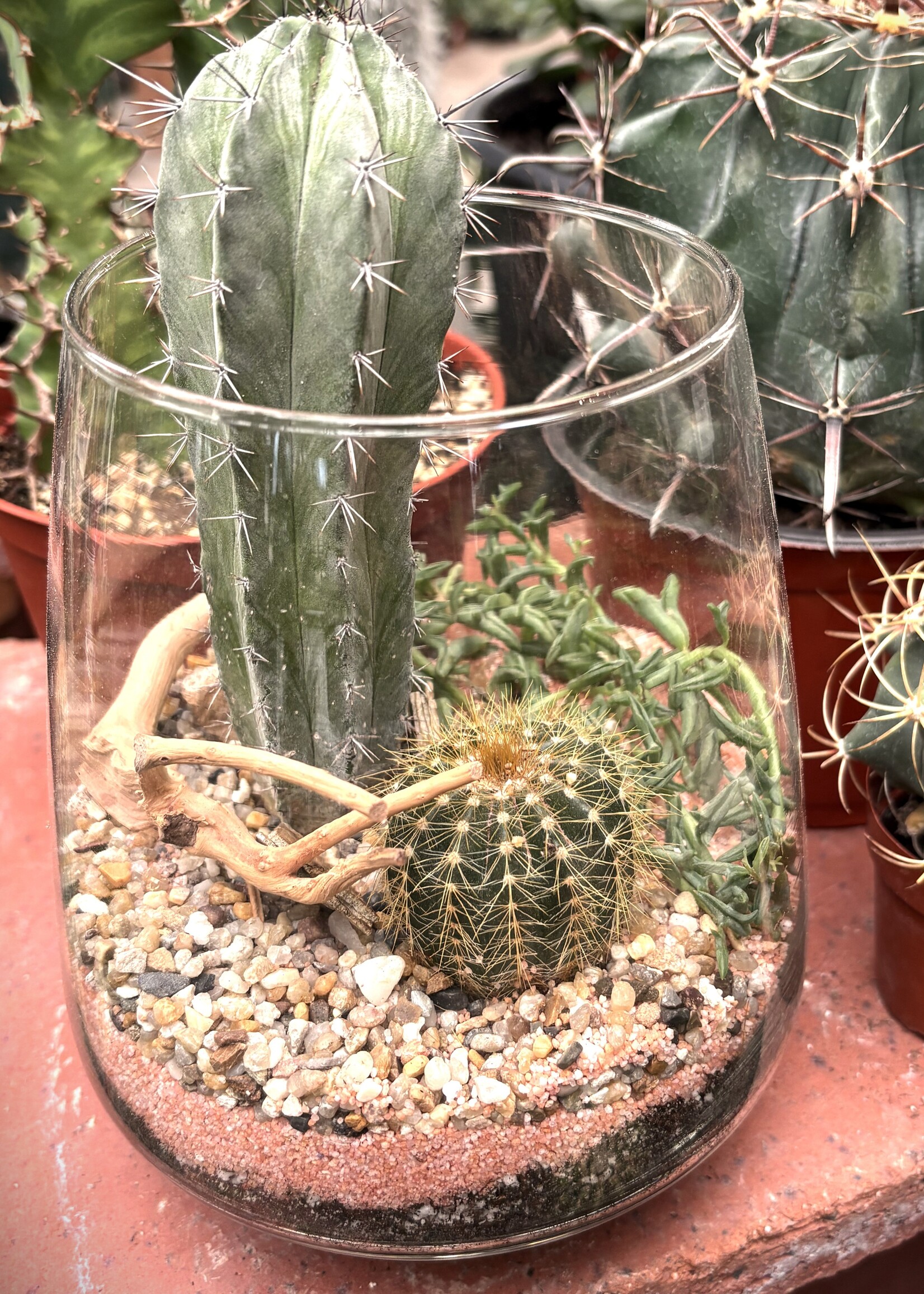 Workshop: Desert Terrariums - 01/31/2026 @ 1PM