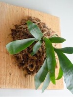 Workshop: PLACEHOLDER 2