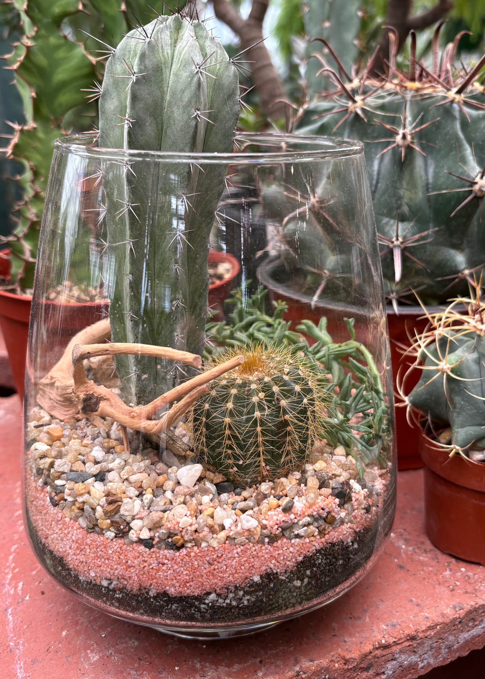 Workshop: Desert Gardens - July 2nd @ 5 PM