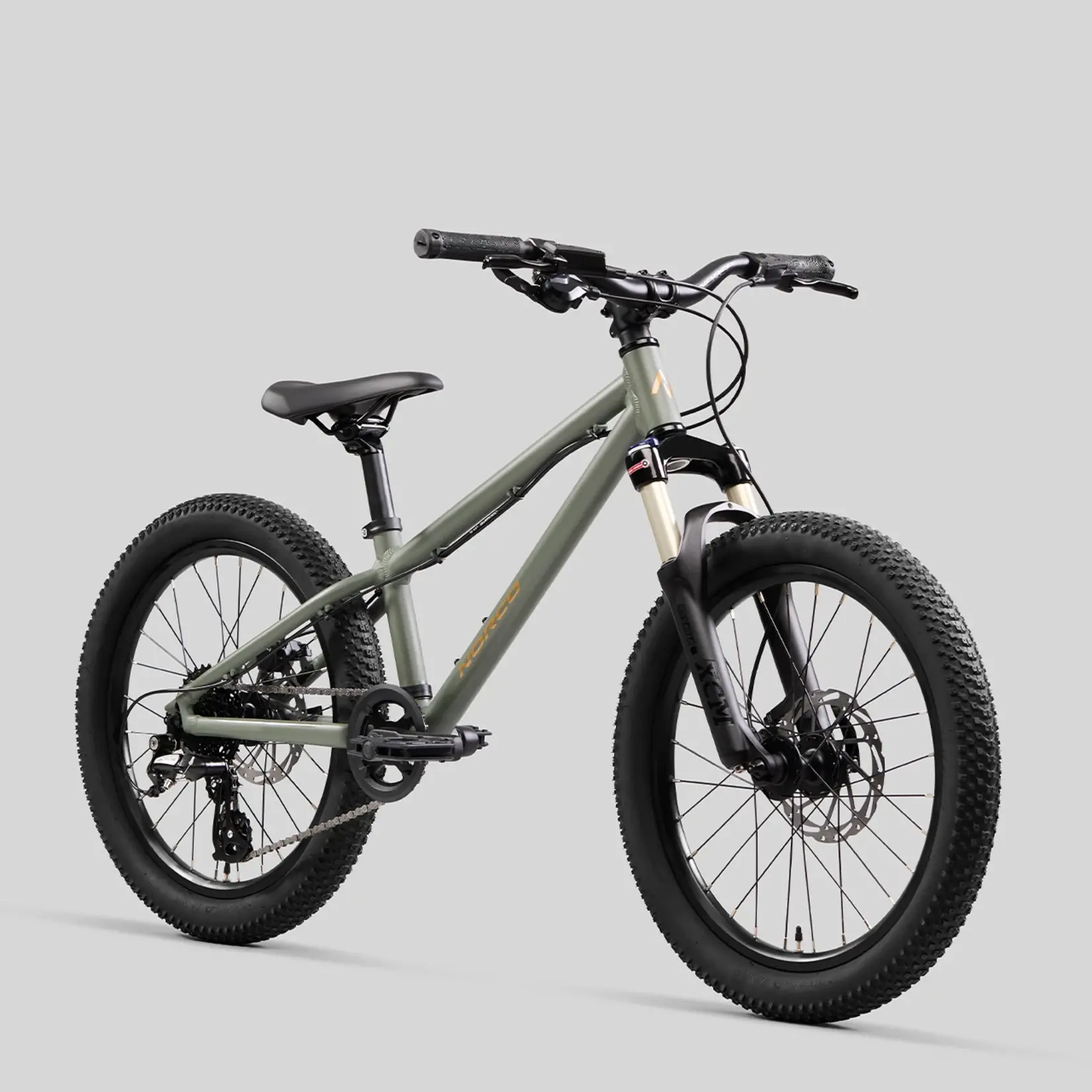 Norco Norco CHARGER T20 - Vélo de Montagne Enfant
