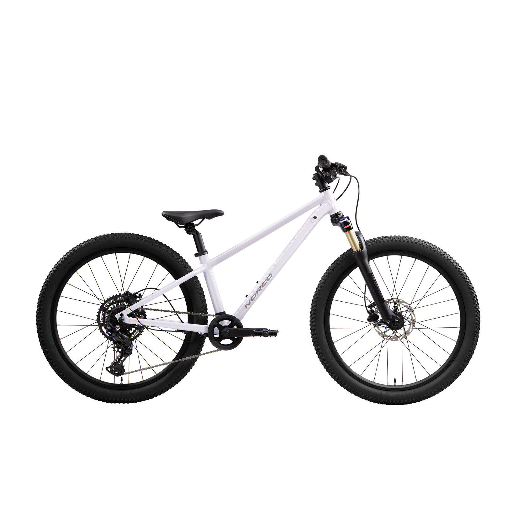 Norco Norco Charger 24 - Kids Mountain Bike