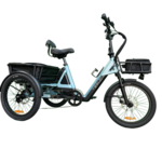 Teslica Teslica Spirit eTrike 500W T1S Sage Teal