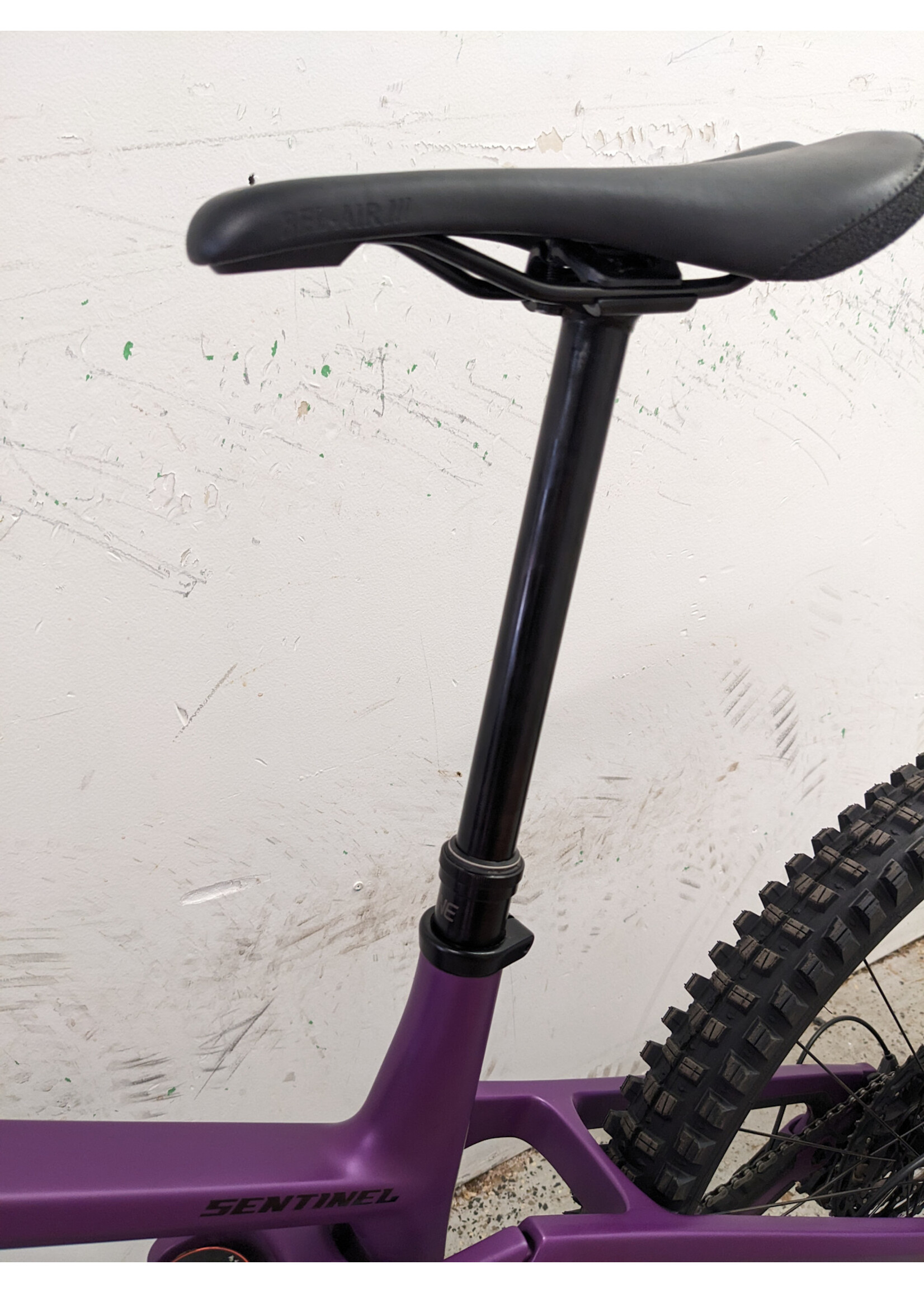 Transition Transition - Sentinel V3 - XT - Deep Purple - Large