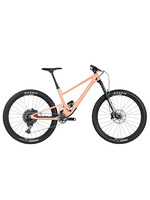 SCOR SCOR - 4060 ST - GX- Yum Gum - XL